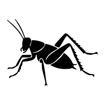 Grasshopper vector silhouette