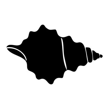 seashell vector silhouette
