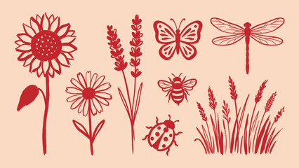 Hand drawn nature vector elements set with sunflower daisy lavender butterfly bee ladybug dragonfly and grass © Zyariss