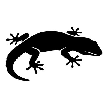 Vector silhouette of a salamander