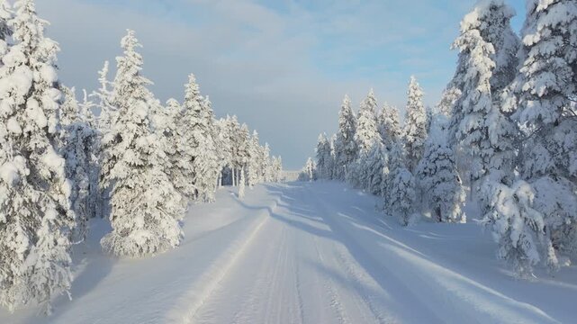 Aerial drone view of a road through a snowy winter pine forest. Flying over a snow-covered road in winter forest, Christmas travel concept.