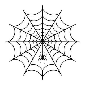 Symmetrical spider web with hanging spider