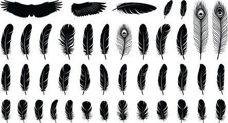 Collection of black feather silhouettes and bird wings isolated on white background vector elements © MdAsikul