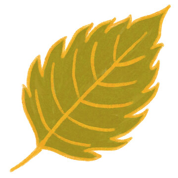 Olive Green Autumn Leaf Illustration in Textured Crayon Style