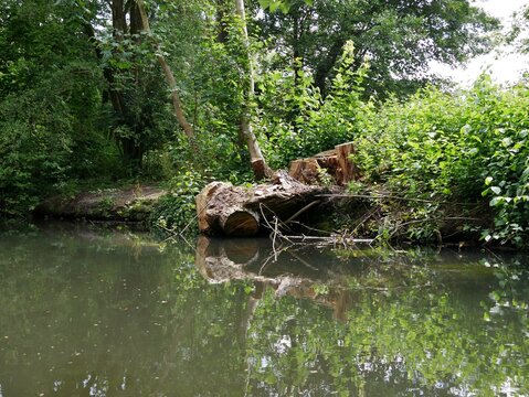 Landschaft im Alstertal auf Alster