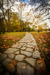 A stone path in the middle of a park, surrounded by fallen autumn leaves on the ground. © lleandralacuerva
