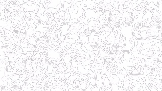 Abstract digital topography lines pattern dynamic waves motion background footage video. topography map  lines animated background 4k.