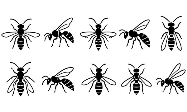 Minimalist Wasp Silhouette Vector Icon Set &ndash; 10 Modern Black Insect Icons for UI UX Design