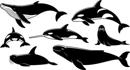 Set of marine mammals including whales, orcas, and seals © SAYEDAJANNATUL