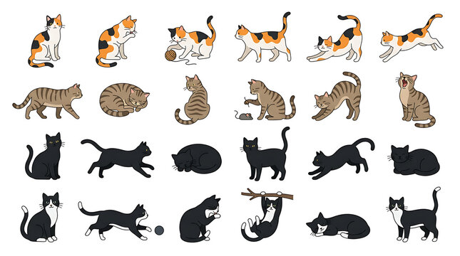 Cute Cats Collection Vector Set with Different Breeds and Poses Isolated on White Background