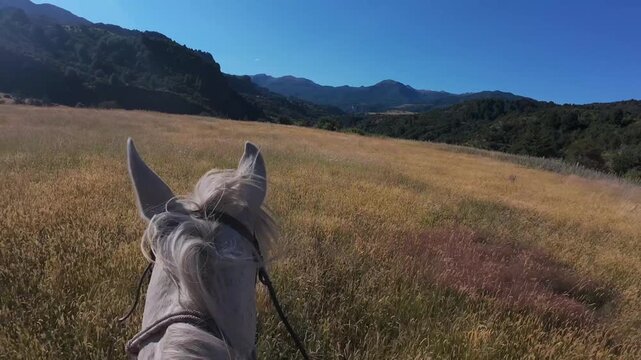 POV Horseback Riding Through Tall Grass In Patagonia Chile Slow Motion