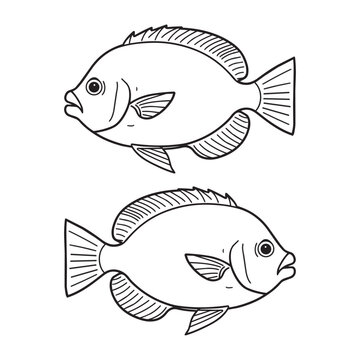 Two fish illustration for coloring book page with simple lines on clean white background for children.