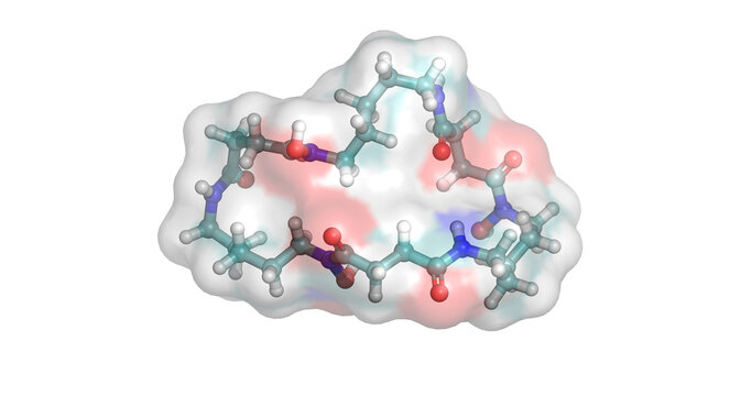 Desferrioxamine E, macrocyclic siderophore for iron chelating and bacterial transport, 3D molecule 4K