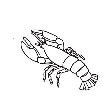 Lobster coloring page for children vector line art illustration of underwater crustacean marine animal.