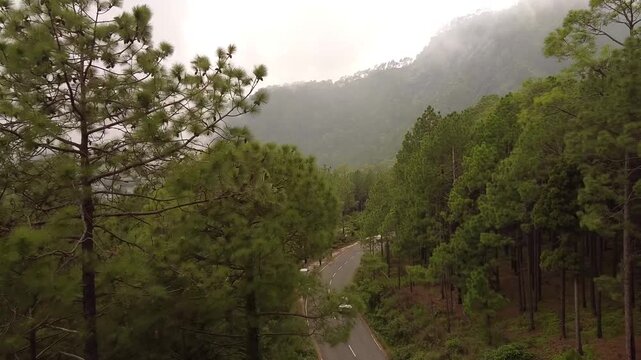 An Aerial shot of a car moving on the Roosi by pass road near Nainital Surrounded with pine trees on both sides 