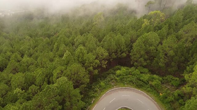 An Aerial shot of a car moving on the Roosi by pass road near Nainital Surrounded with pine trees on both sides 