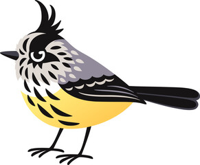 Fototapeta premium Cute Cachudito (tufted tit-tyrant) illustration, South American bird. Isolated cartoon vector clipart.