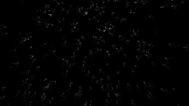  Abstract black and white grain texture background with cinematic dust overlay and speckles.