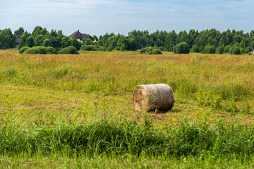 Round hay bale lying on a green meadow among blooming wildflowers on a sunny summer day, with blue sky and rural countryside landscape in the background. Agricultural and seasonal nature concept © magpie