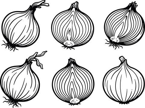A collection of fresh organic onion vegetables displayed in a detailed black and white artistic hand drawn graphic art silhouette