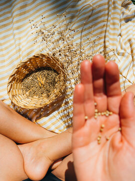 Seed Saving Home Garden