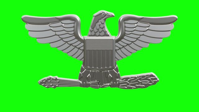 U.S. Army Officer Insignia Colonel, isolated on green screen background, 3D