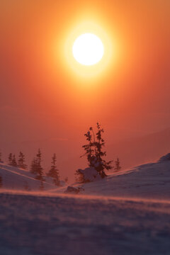 Golden morning light bathes the snowy Carpathian highlands in warm 