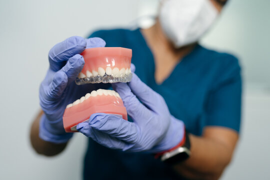 Dentist Holding Jaw Model with Aligner