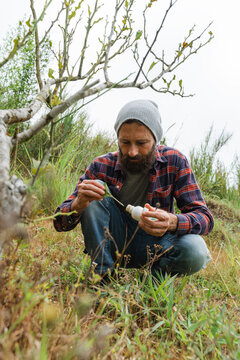 Farmer placing ant poison