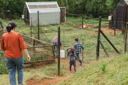 Family engaging in sustainable agriculture and caring for chickens