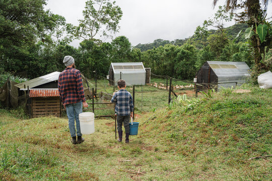 Farmers preparing to feed chickens on a rural farm
