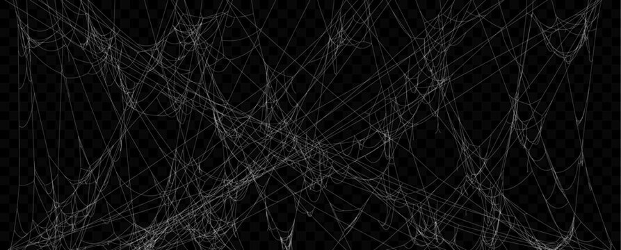 Realistic Vector Tangled White Spider Web Texture. Hanging Cobweb for Halloween design.