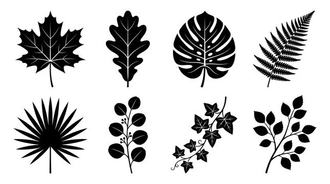 Botany Leaves and Foliage Black Silhouette Icon Collection Vector