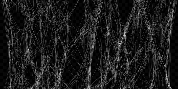 Realistic Vector Tangled White Spider Web Texture. Hanging Cobweb for Halloween design.