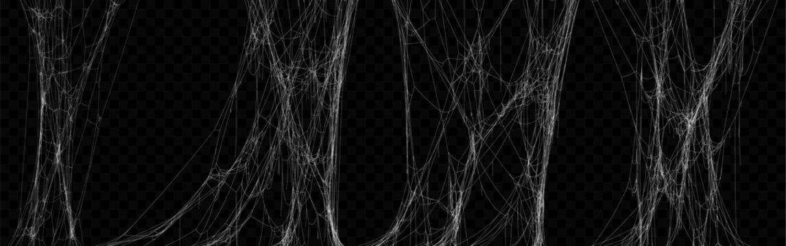 Set of Realistic Stretched Vector Tangled White Spider Web Texture. Hanging Cobweb for Halloween design.