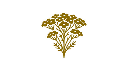 Golden yarrow wildflower cluster botanical icon. © Lahm