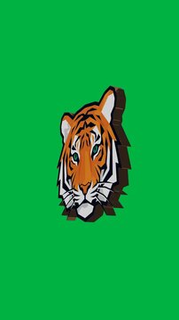 Stylized Tiger Face Animation with Green Screen Background, Fierce Animal Portrait, Looping Graphic