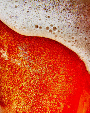 Foamy beer 