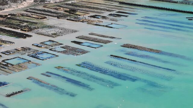Aerial view of shellfish farming in Cancale, Brittany, coastal oyster industry of this French seafood destination