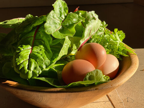 Fresh eggs and salad leaves from the farm
