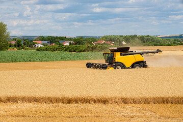 Obraz premium Yellow combine harvester working in gold wheat field