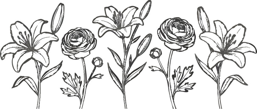 Black line art flower border strip vector illustration element on a transparent background