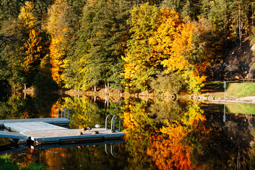 Colorful autumn forest reflected in calm river water with wooden dock, ducks © Mariana Verbenets