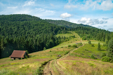 Polana © piotrwolak