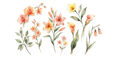Obraz premium Set of beautiful orange watercolor flowers and green leaves for floral design elements