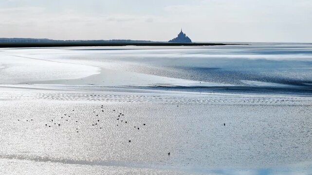 Flock of coastal birds on tidal flats during low tide in Normandy, France, with wide reflective shallows. Aerial landscape of bird habitat in the bay