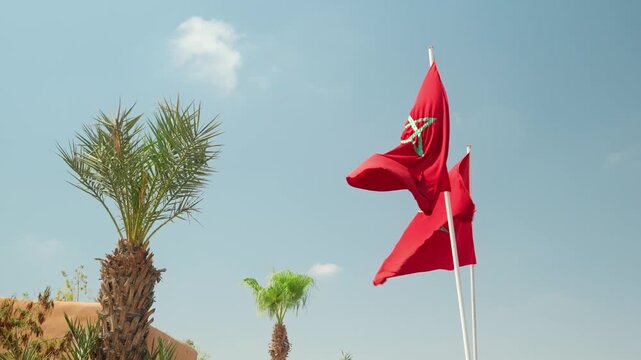 Moroccan Flags Waving Above Palm Trees Against Clear Blue Sky, Morocco Travel Scene
