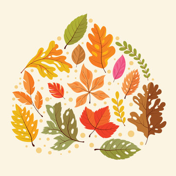 Colorful autumn leaves decorative arrangement