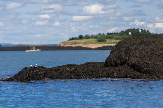 Lubec, Maine