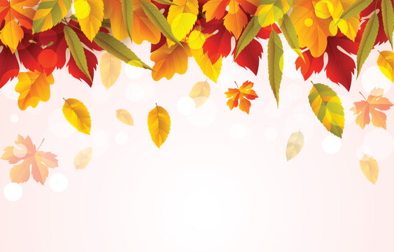 Falling autumn leaves in colorful shades